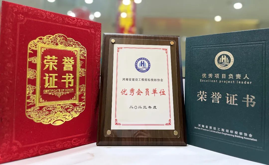 喜報丨飛洋咨詢榮獲“2023年度優秀會員單位”、“2023年度優秀項目負責人”等榮譽稱號